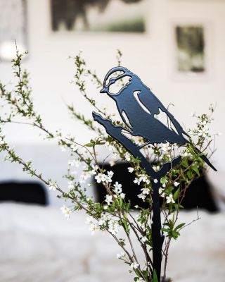 🔝 Jak vypadá naše TOP 5? Ptáčci jasně vedou – zápichy s modřinkou a brhlíkem patří mezi vaše stálice. 🐦 Do kuchyně zase...